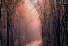 阿森纳对基维奥尔要价超过2000万欧.