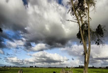 [NBA]NBA选秀状元猜想——库珀·弗拉格.