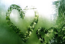 乐玩体育:体坛名场面 | 13年东亚杯中国4-3澳洲:于大宝闪击武磊奔袭单刀.