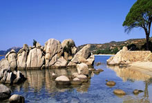 乐玩体育：A-勒布伦全锦赛泄愤把手砸伤退出世界杯，西蒙-高茨递补.